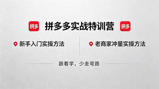 拼多多实战特训营(更新5月15-白蛇网