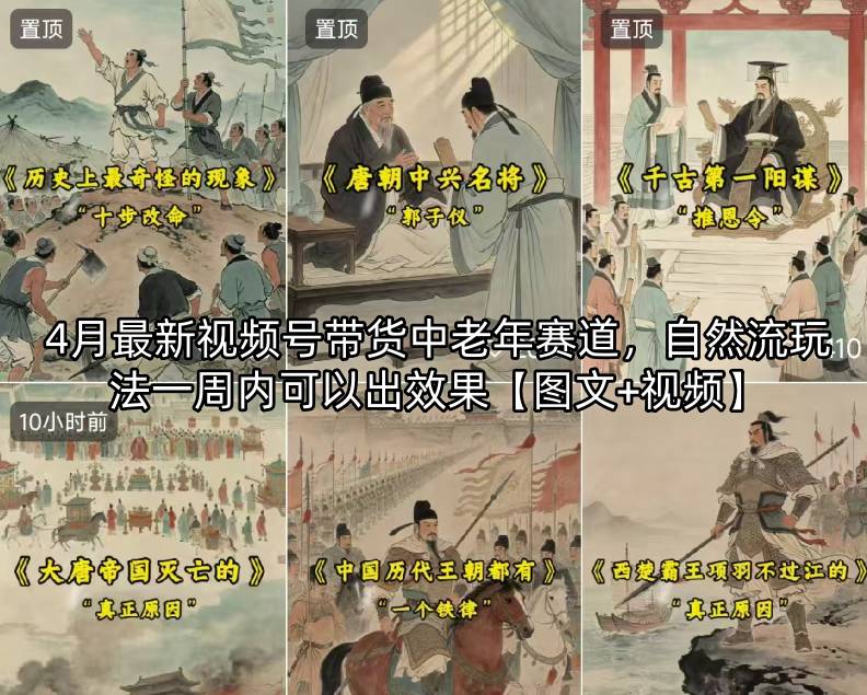 4月最新视频号带货中老年赛道，自然流玩法一周内可以出效果【图文+视频】-白蛇网